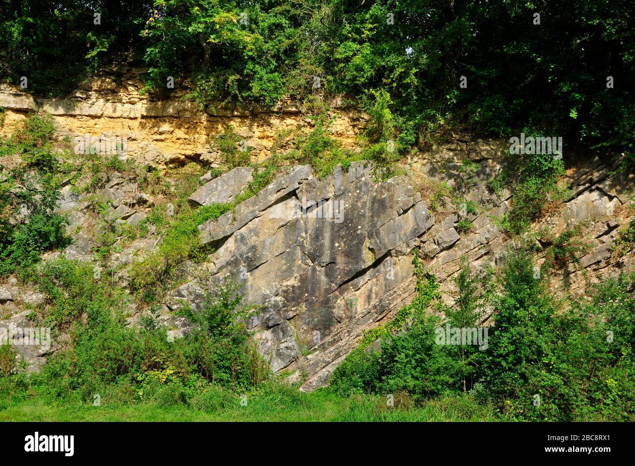 Die De la Beche Unkonformität in Vallis Vale, Somerset, zeigt horizontale Schichten von gelbem sedimentären Gestein - oolitischen Kalksteinen - auf TI ruhen Stockfoto