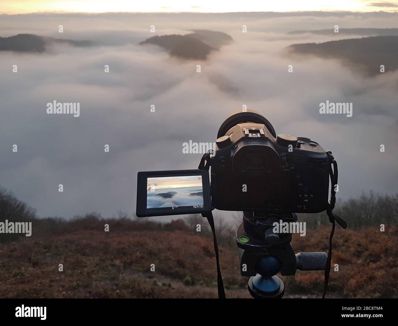 Blickpunkt, Landschaft, Nebel, Stativ, aufnehmen von Bildern Stockfoto