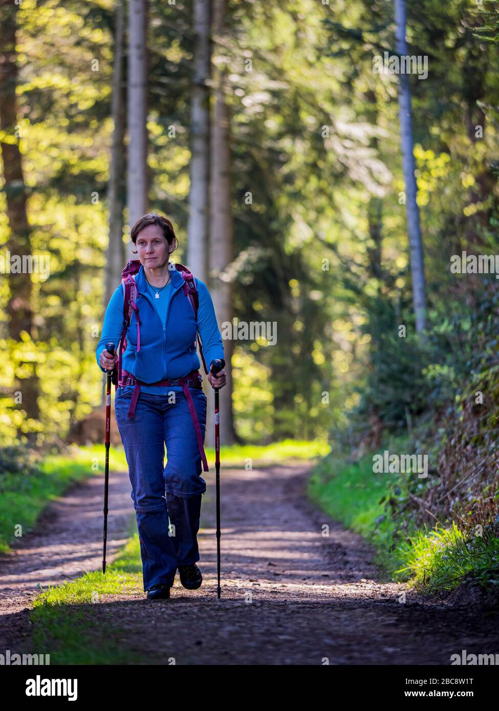 Wandern auf dem Zweilersteig, Kohlenbacher Tal Stockfoto