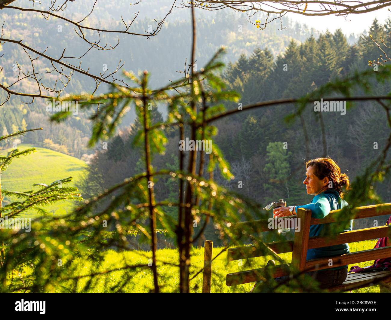 Wandern auf dem Zweilersteig, Kohlenbacher Tal, Blick Richtung Kandel Stockfoto