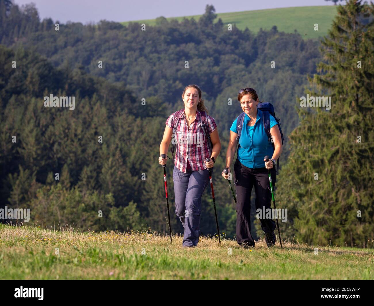 Wandern auf dem zweiten Talweg, ruhen auf der Alm bei Kreuzmoos, Blick Richtung Bidlstein Stockfoto