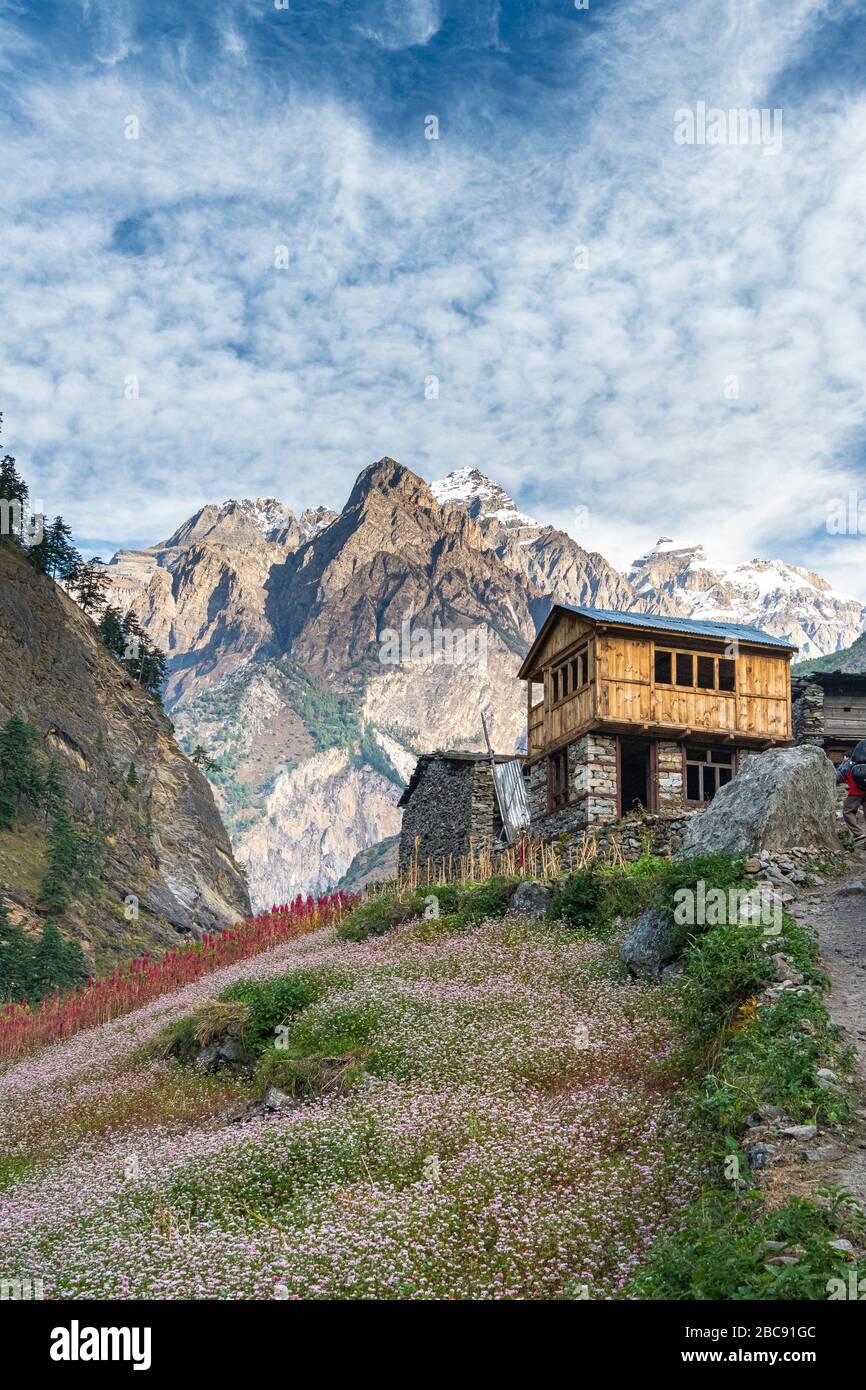 Haus in Nepal auf dem Manaslu Circuit mit Blick auf das Ganesh Himal (7422 m) Stockfoto