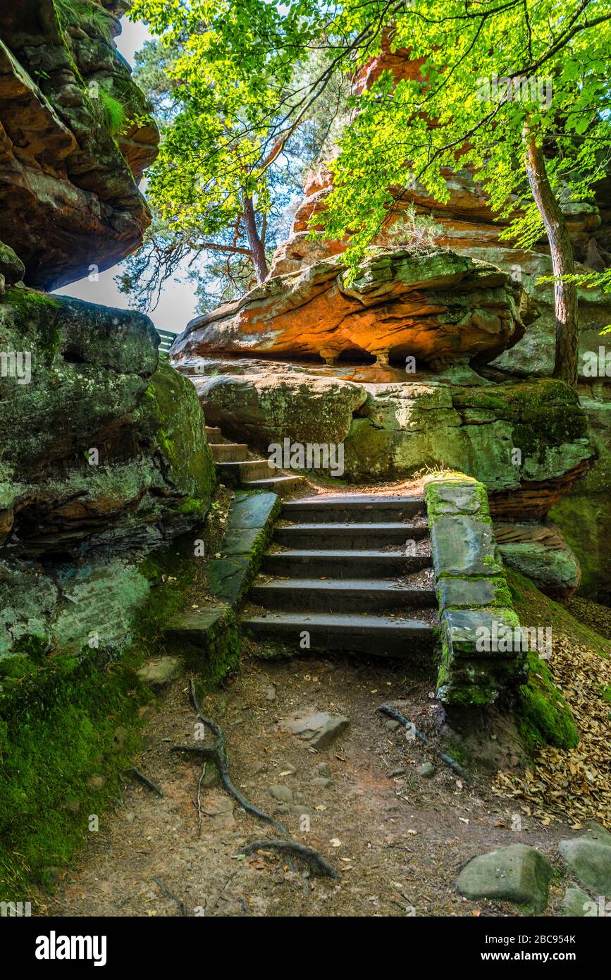 Treppe im Dahner Felsenland zum Jungfernsprung, mystische, geheimnisvolle Felslandschaft bei Dahn, roter Sandstein mit Moos und Flechten bedeckt, Stockfoto