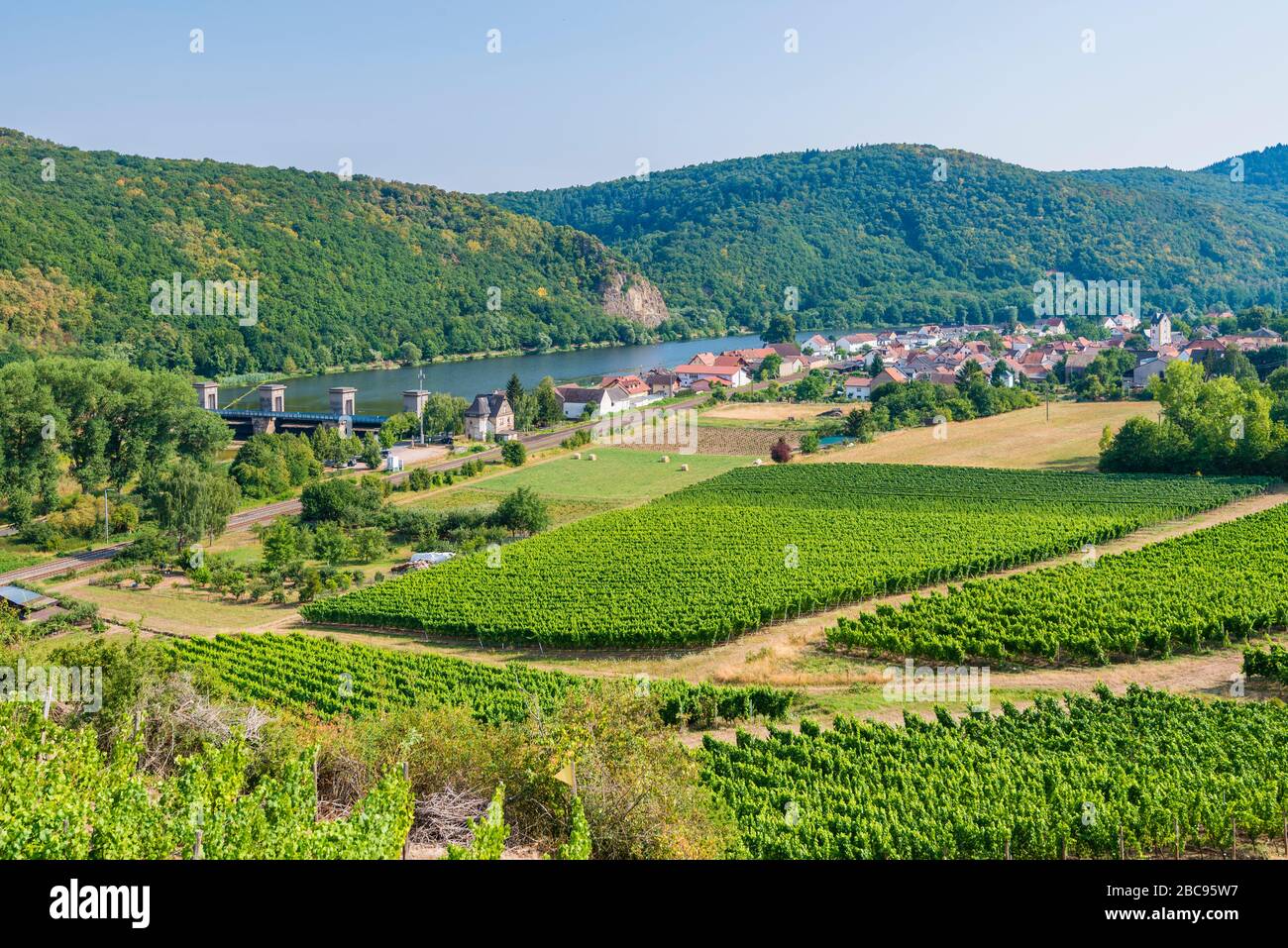 Niederhausen an der Nahe, Weinanbau in der Königlich-Preussischen Domäne Niederhausen, die Nehe wird zu einem See zur Energiegewinnung, dem Weinhikin, aufgestaut Stockfoto