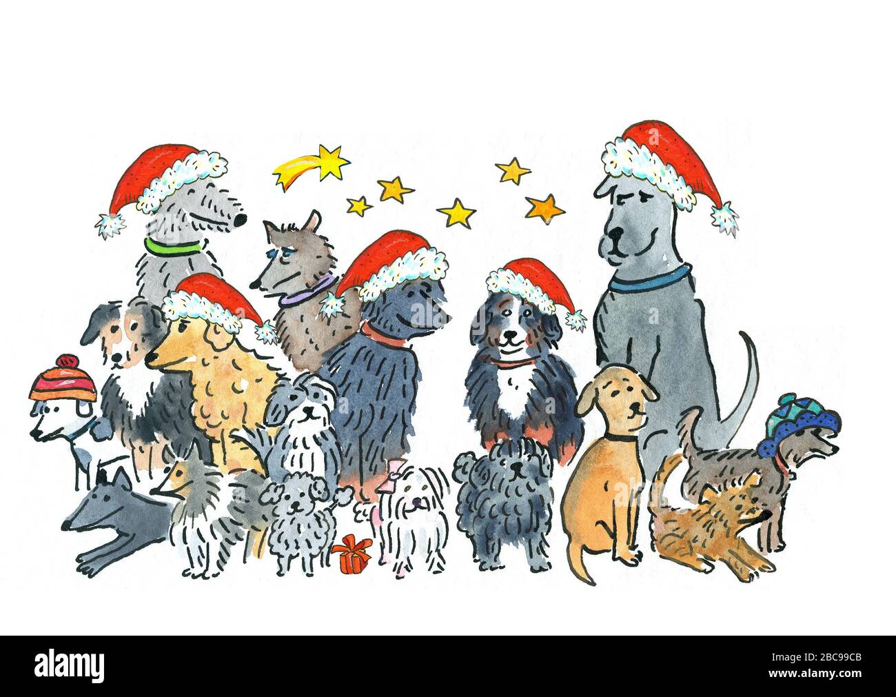 Viele Hunde feiern Weihnachten, sie tragen Weihnachtsmützen, Stockfoto