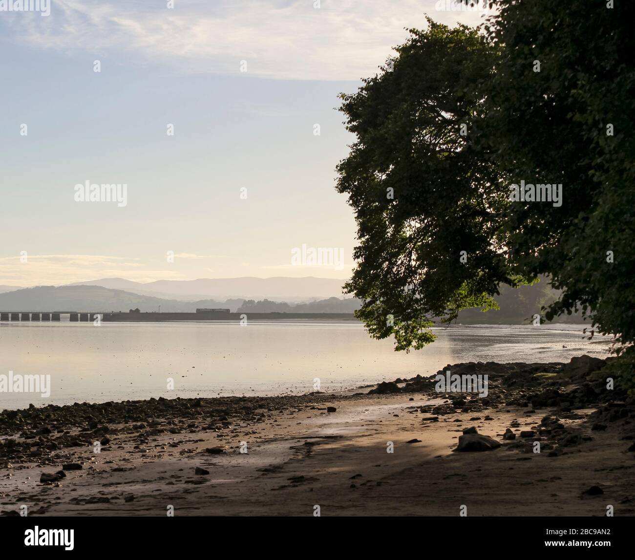 Der Tempolimit der Northern Rail Klasse 142 nähert sich kurz nach Sonnenaufgang im Sommer dem Arnside-Viadukt mit den dahinter liegenden Hügeln im Seebezirk Stockfoto