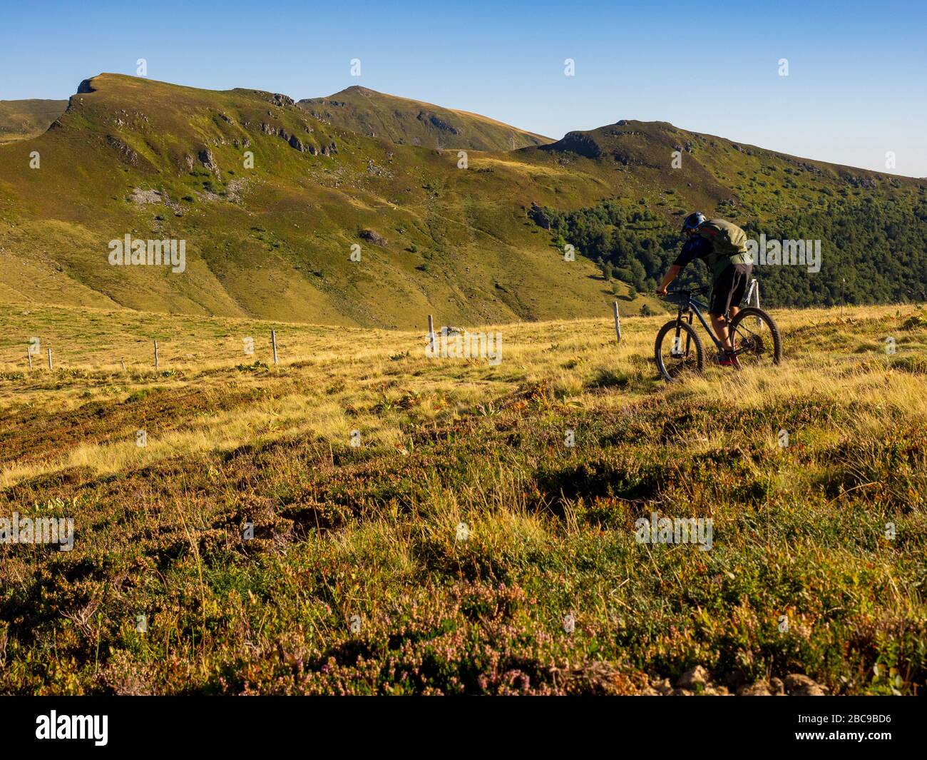 Mountainbikes auf einem einzigen Weg auf dem Roc des Ombres. Blick in Richtung Puy Mary. Monts du Cantal, Massif Central, Cantal France Stockfoto