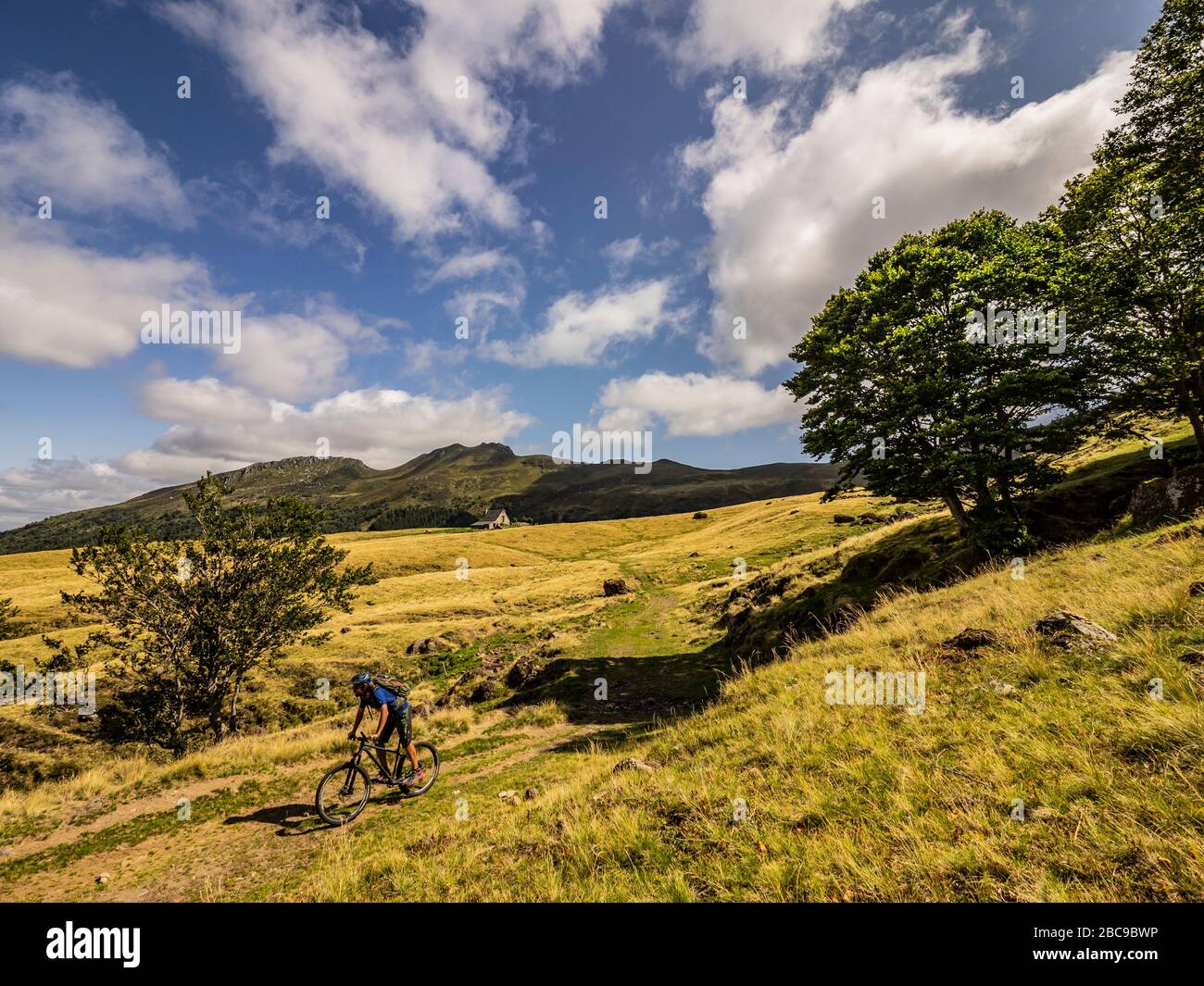 Mountainbikes auf einem einzigen Weg. Schmaler Bergpfad unterhalb der Puy Mary über hohe Weideflächen zum Buron d'Eylac. Monts du Cantal, Zentralmassiv, C Stockfoto