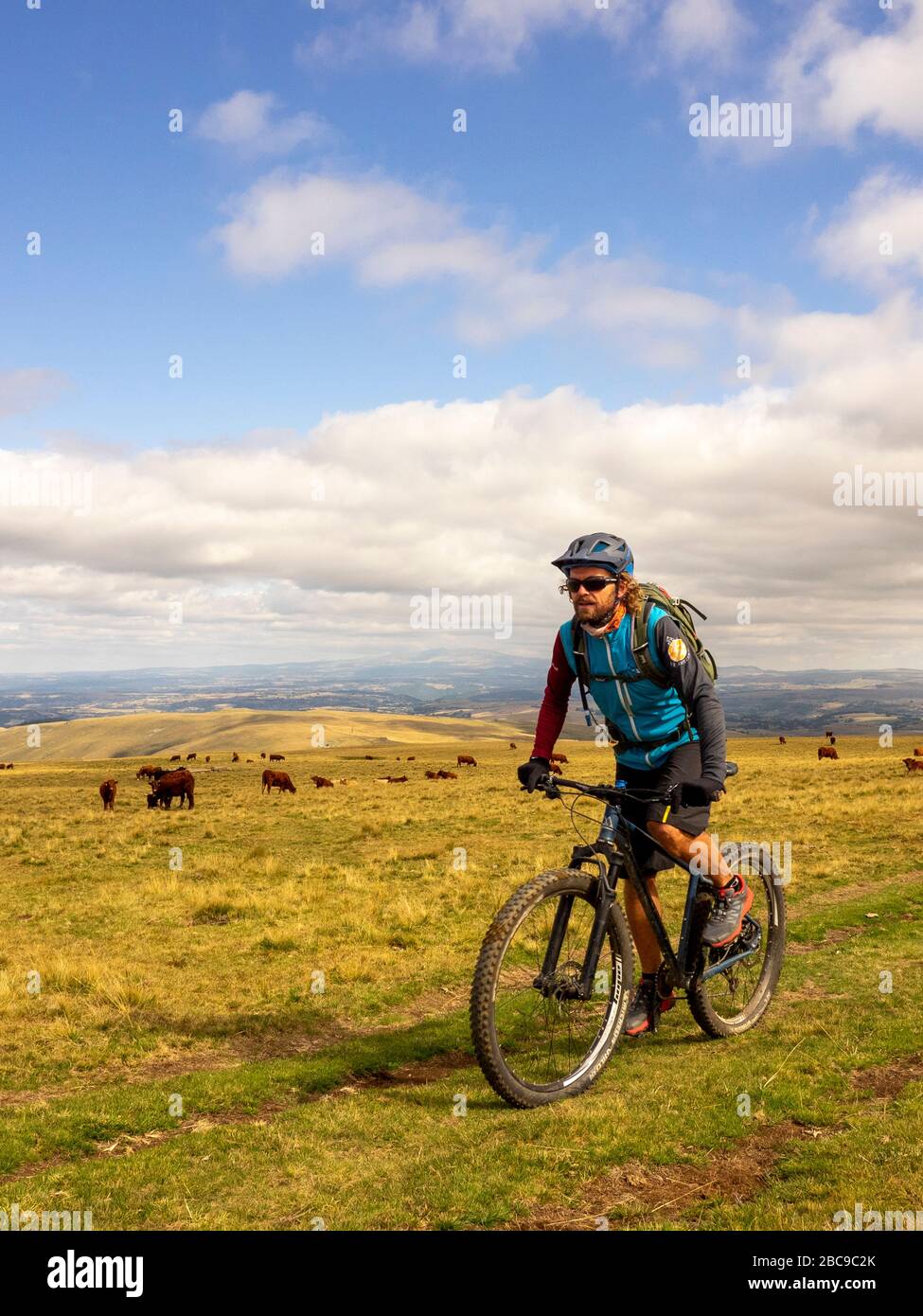 Mountainbikes auf einem einzigen Weg. Monts du Cantal, Massif Central, Cantal France Stockfoto