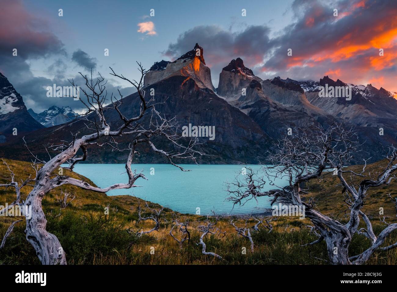 Blick über Lago Noerdenskoeld nach Cuernos del Paine mit Cerro Paine Grande und verbrannten Bäumen, Torres del Paine Nationalpark, Patagonien, Ultima Esperanz Stockfoto