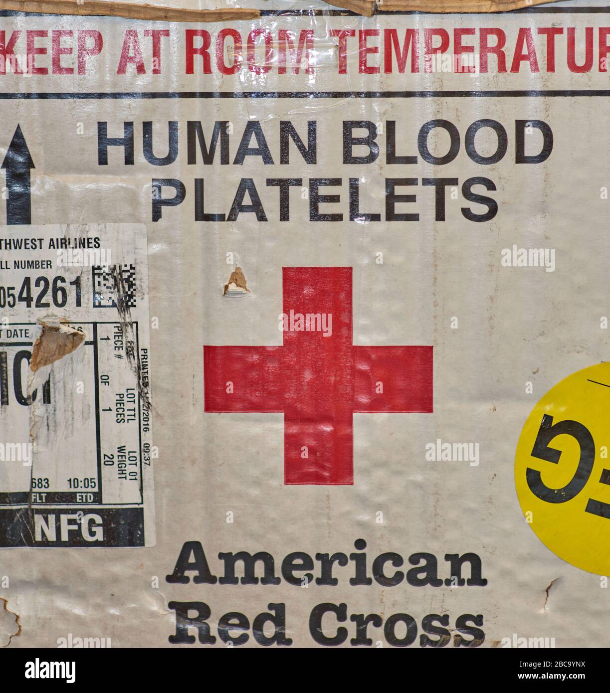 Blutkreislauf des amerikanischen Roten Kreuzes in der örtlichen Bibliothek Stockfoto