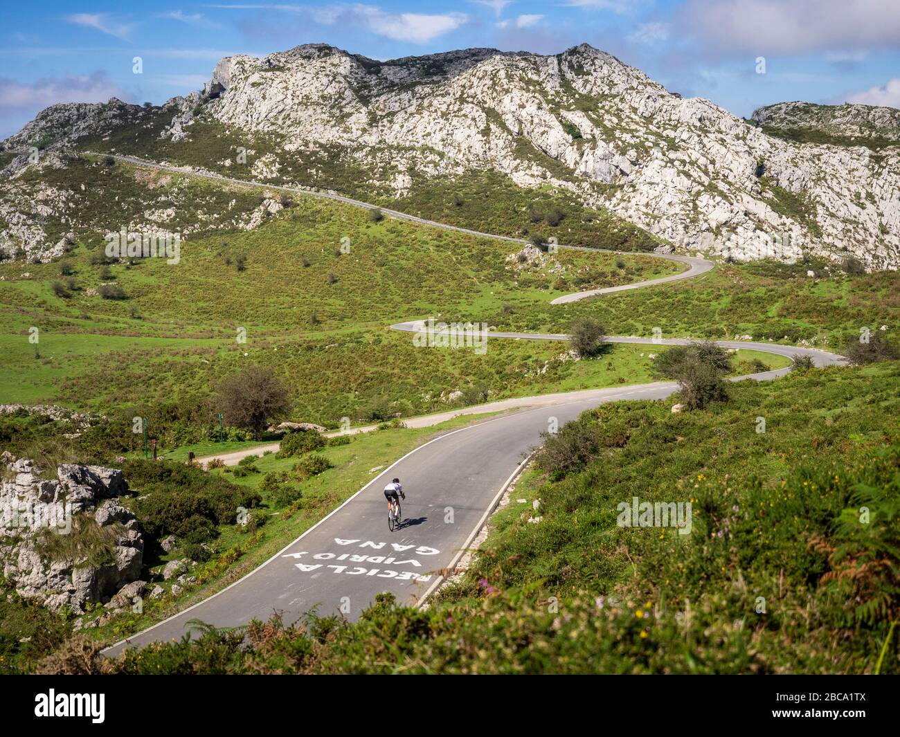 Straßenradsport in Asturien, Nordspanien. Rennradrennfahrer auf einer steilen Bergstraße in der Nähe des Lagos de Covadonga. Im Picos de Europa/Parque Naciona Stockfoto