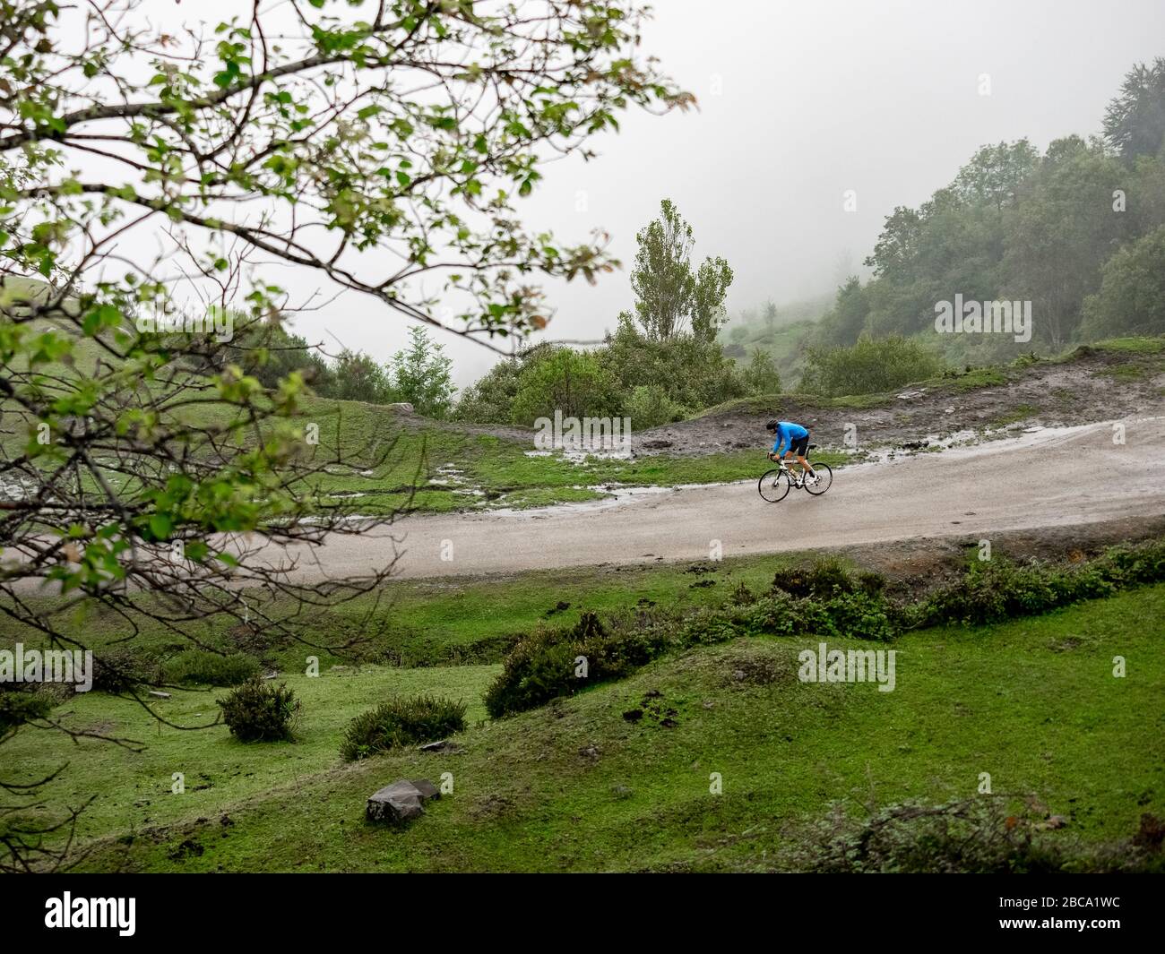 Straßenradsport in Asturien, Spanien. Bergstraße in der Nähe des Coto Bello, Asturien, Spanien Stockfoto