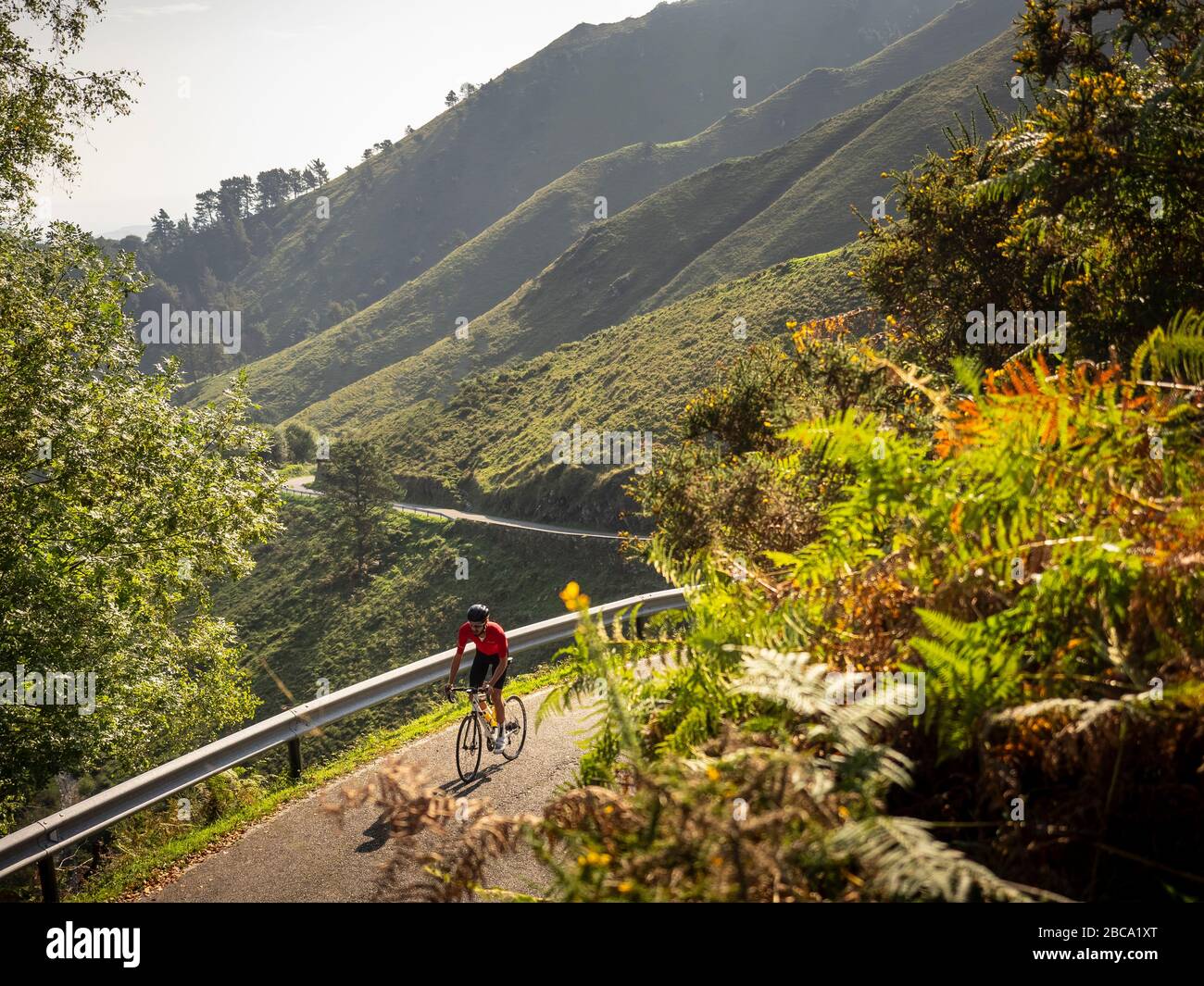 Straßenradsport in Asturien, Nordspanien. Rennradrennfahrer auf der Bergstraße bei Llanes im Picos de Europa, Kantabrische Kordillere, Principado de Astur Stockfoto