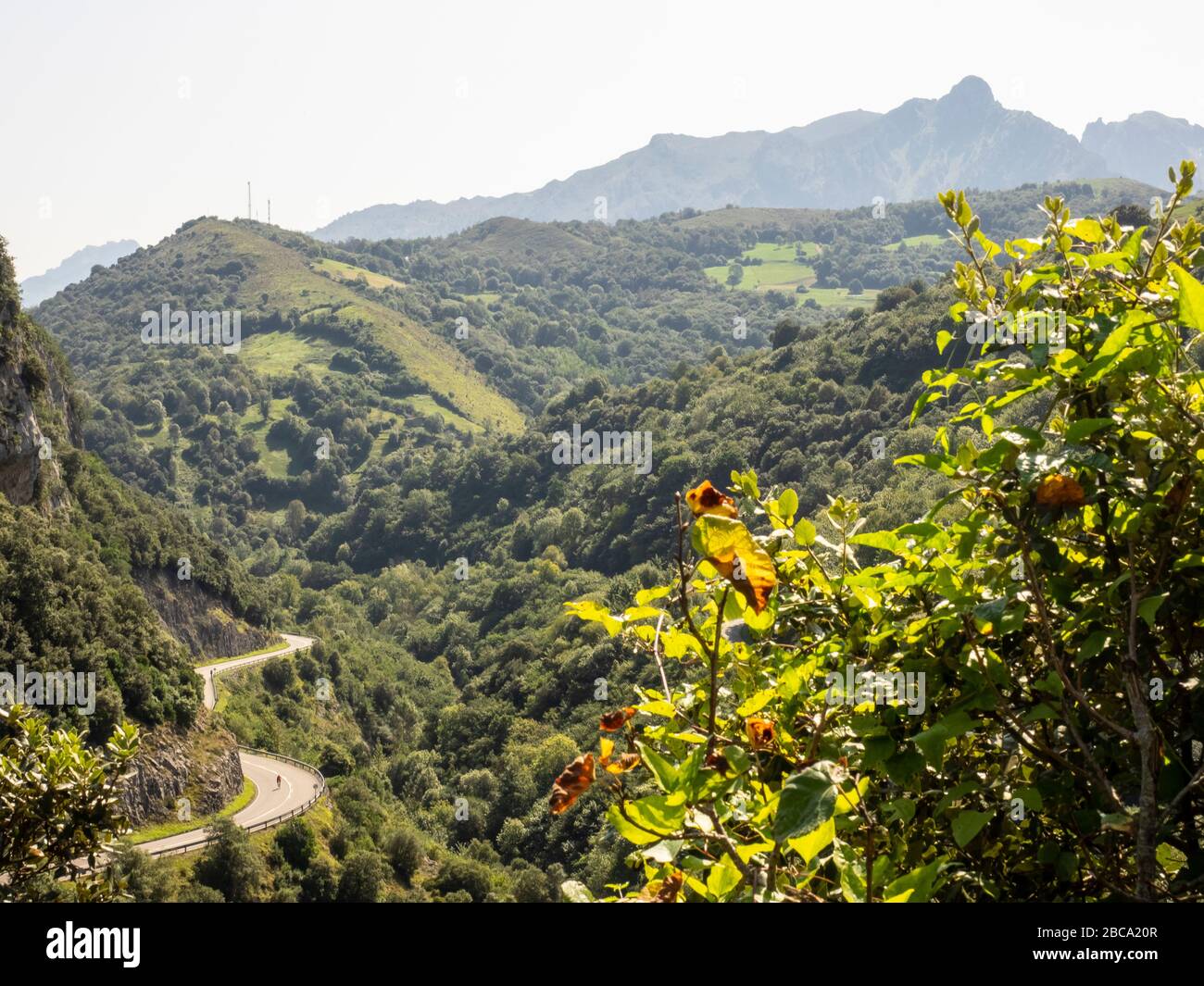Straßenradsport in Asturien, Nordspanien. Radfahrer auf der Bergstraße AS 114 bei Canales de Cabrales im Picos de Europa, im Hintergrund Nar Stockfoto