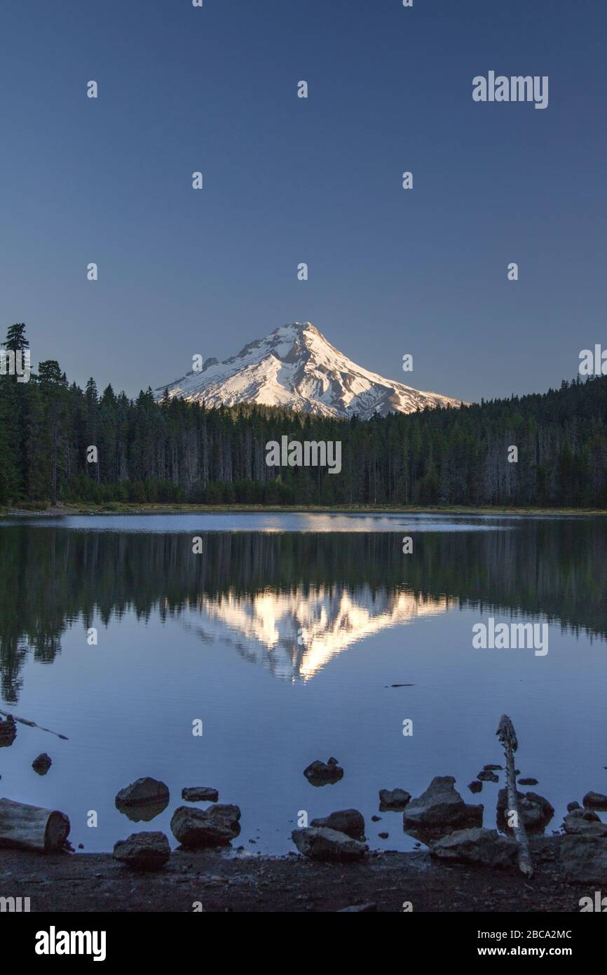 Mount Hood aus Frog Lake, Oregon USA Stockfoto
