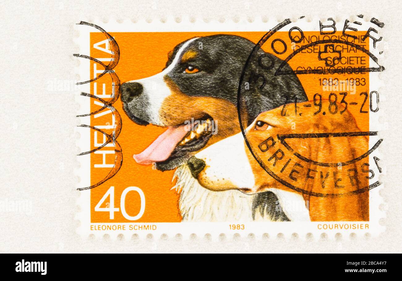 Dog Stamp Stockfotos und -bilder Kaufen - Alamy
