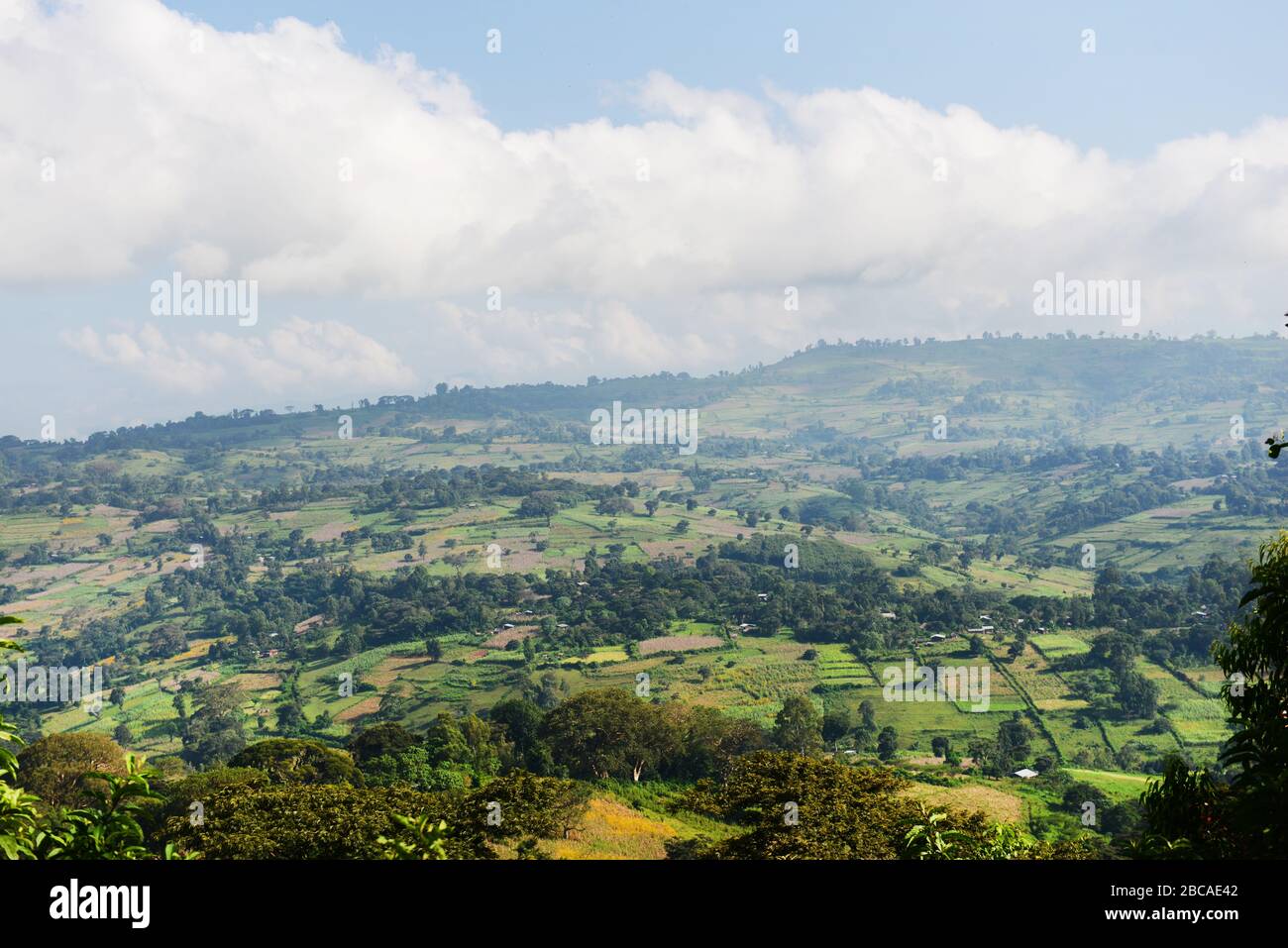 Agrarlandschaften in der Region Kafa in Äthiopien. Stockfoto