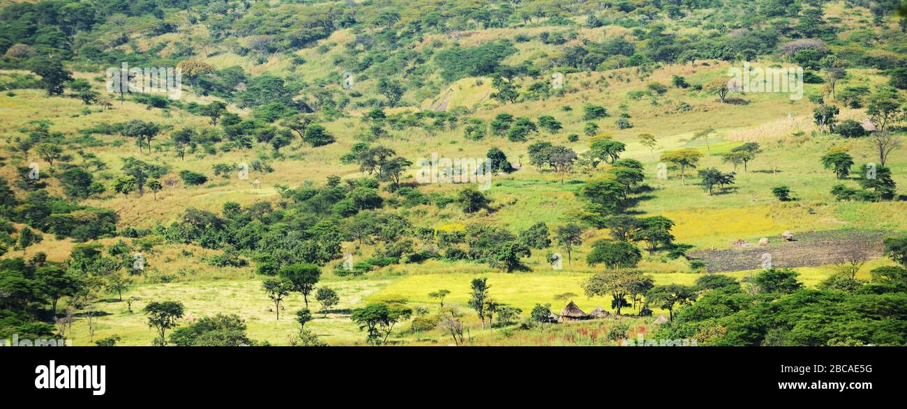 Agrarlandschaften in der Region Kafa in Äthiopien. Stockfoto