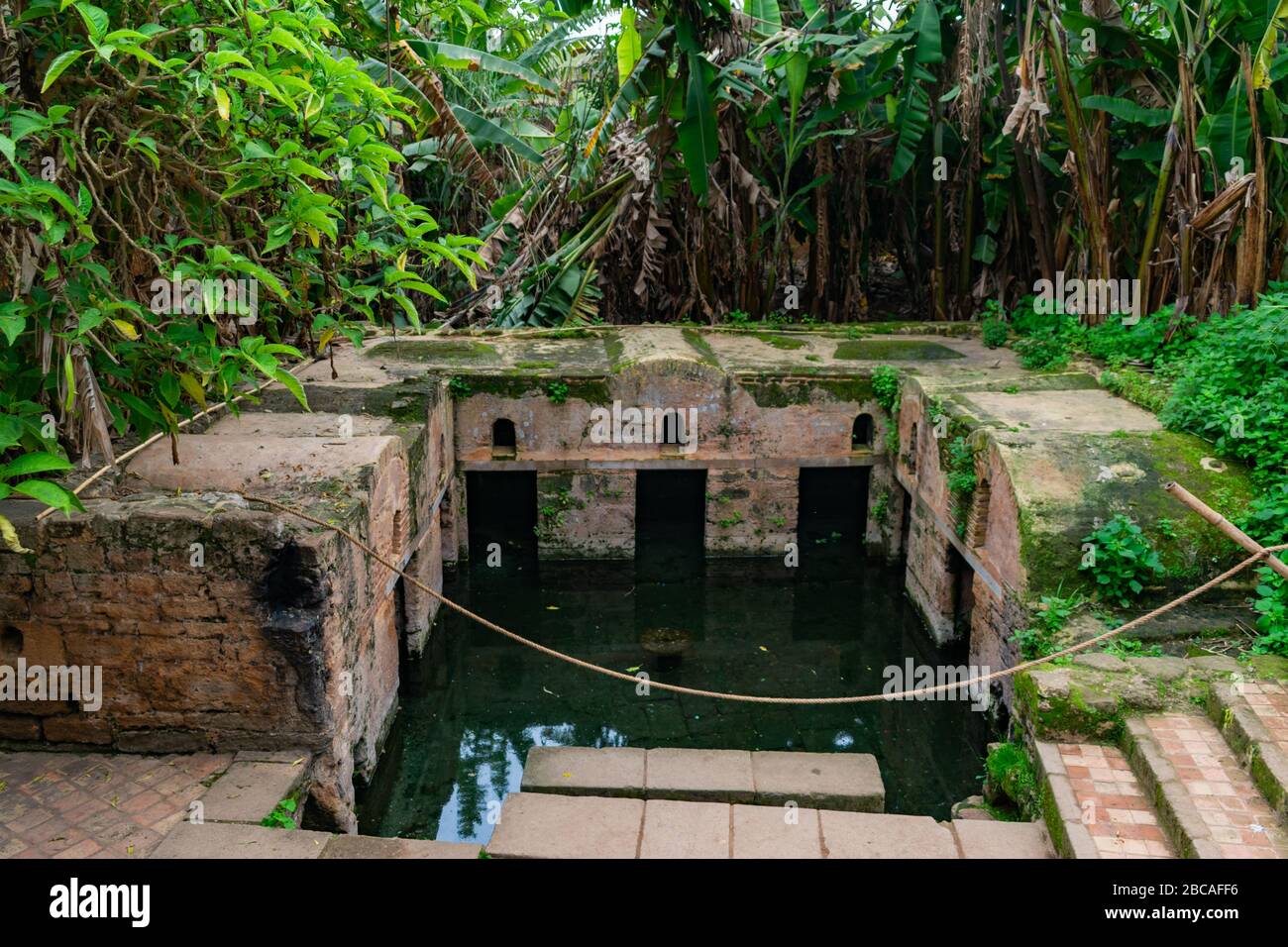 Eel Pool in den Ruinen von Chellah in Rabat Marokko Stockfoto