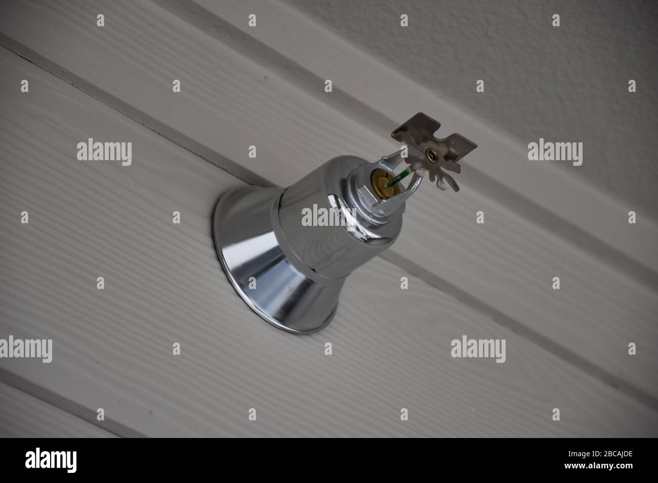 Feuersprinkler auf Wand Nahaufnahme platziert.Feuerwehr-Ausrüstung, Sprinkler auf grauen Wand Hintergrund.Automatischer Sprinkler-Feuerlöscher ausgewählt f Stockfoto