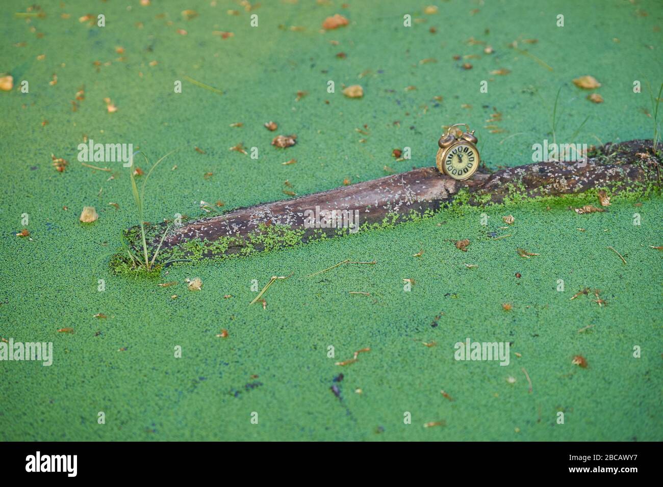 Die Zeit wird knapp, konzeptuelles Image. Stockfoto