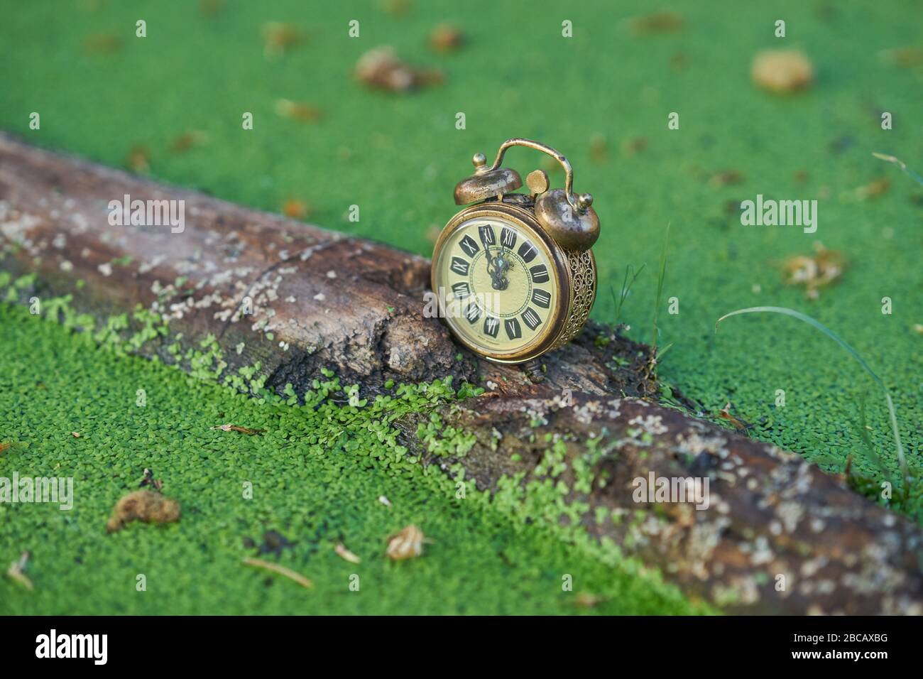 Konzeptuelles Bild, die Zeit läuft der Natur aus. Stockfoto