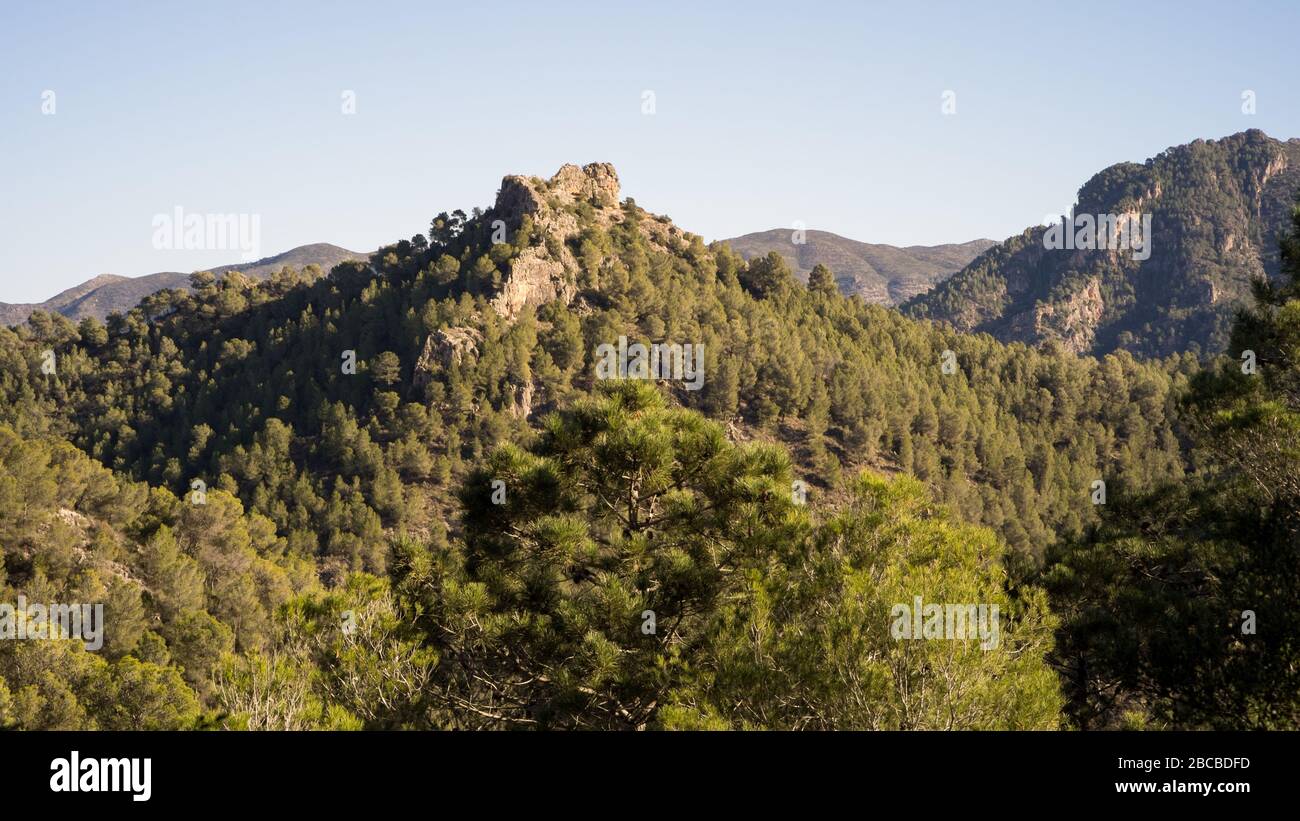 Ein Blick auf die wilden grünen, baumbestandenen Hügel der spanischen Region Valenciana, während Sie auf einer Wanderung an einem sonnigen Tag abseits der Menschen spazieren Stockfoto