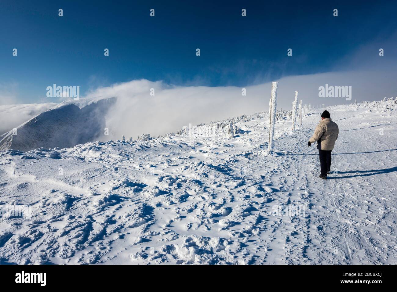 Mann in den Sechzigern im Winter in Karkonosze (Riesengebirge) wandern, Föhn Wolke, Sudetengebirge, Nationalpark Karkonosze, Niederschlesien, Polen Stockfoto