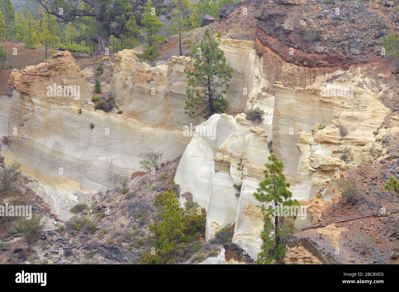 Weiße Klippen bei Paisaje Lunar N.P. Teneriffa Stockfoto