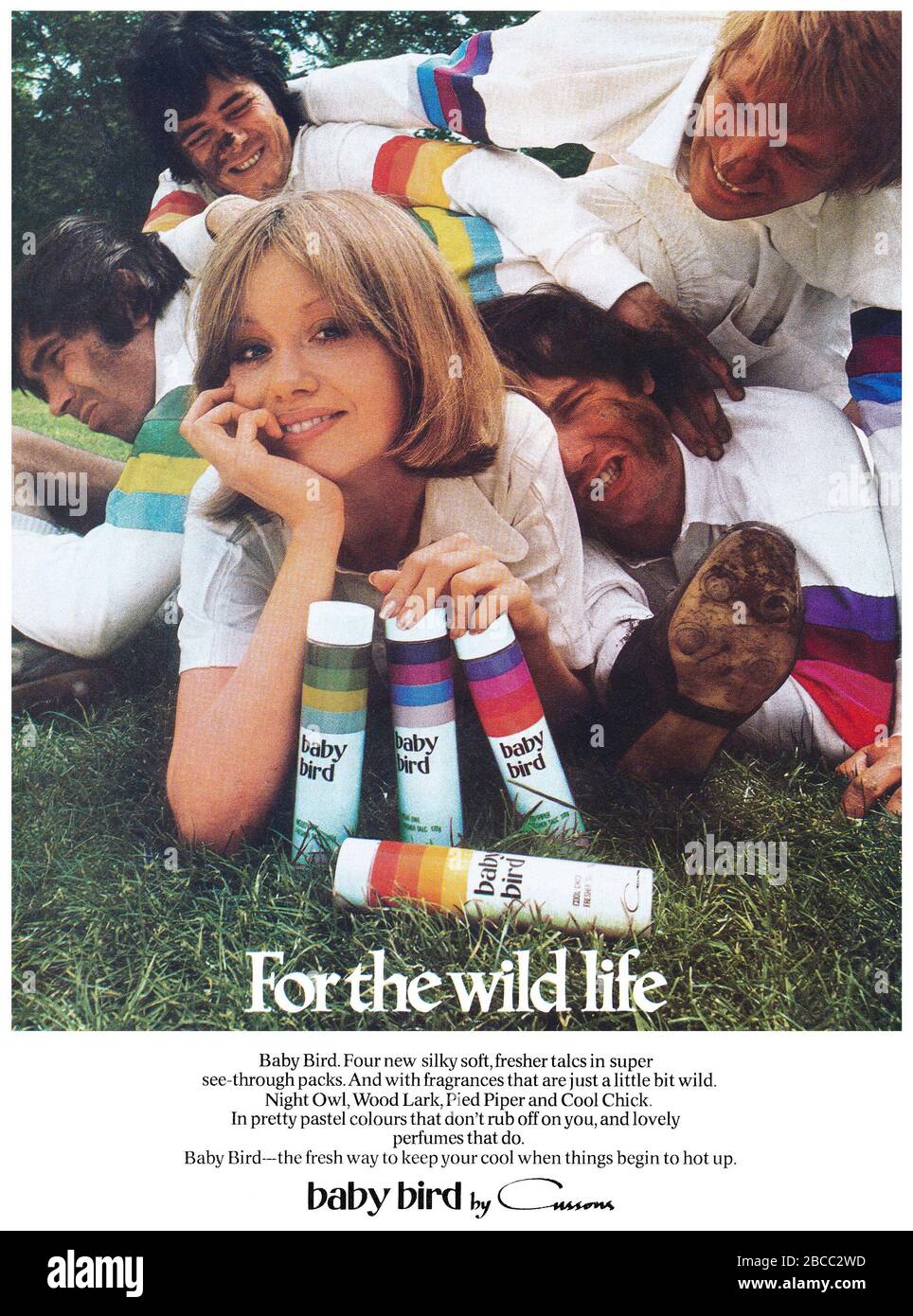 1972 Britische Werbung für Cussons Baby Bird Talkumpuder. Stockfoto