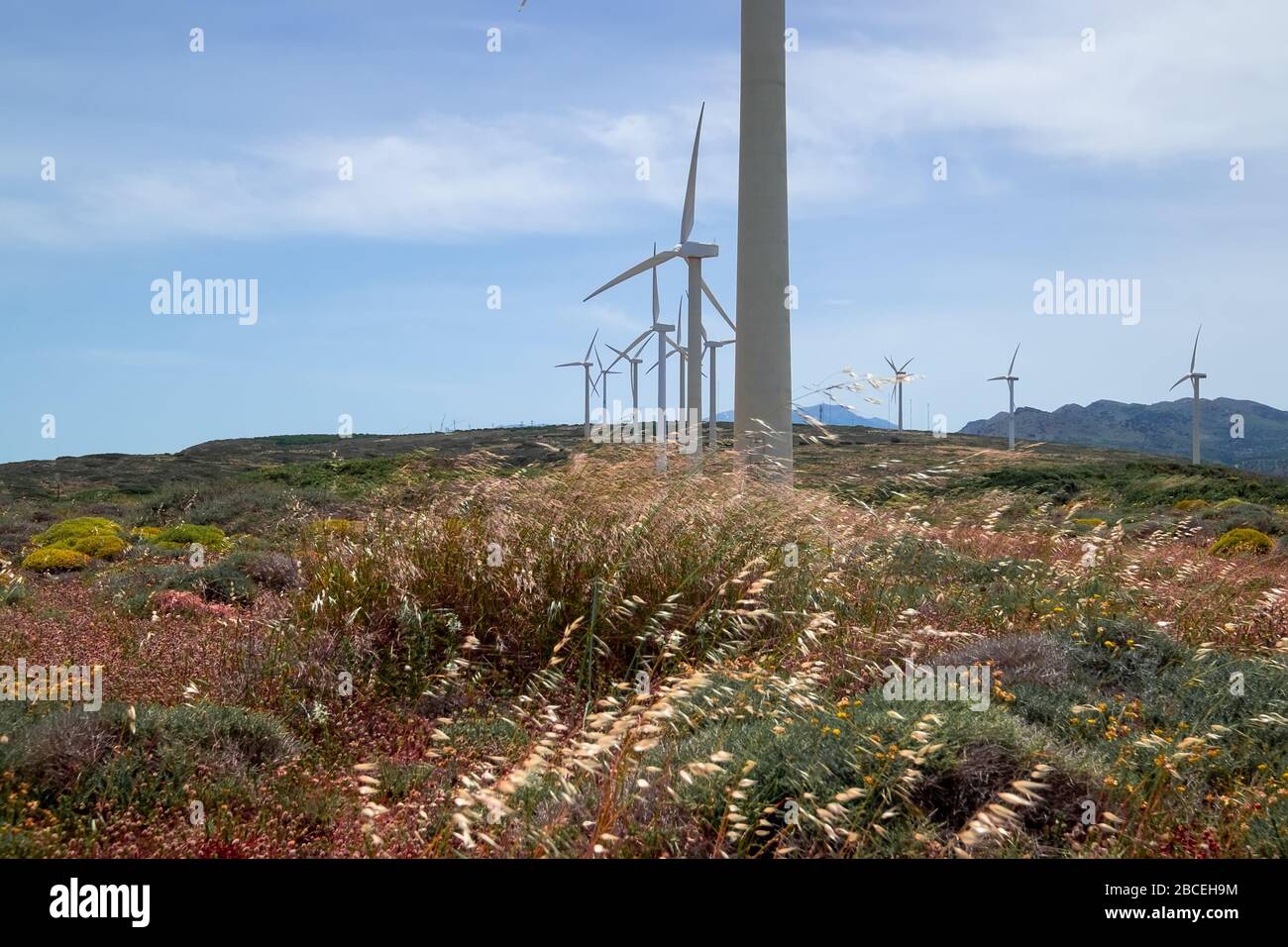 Blick auf das Windpark auf windigen Hügel und Grasland unter blauem Himmel auf der Insel Crete. Moderne saubere Technologien und Innovationen in Griechenland. Windmühle t Stockfoto