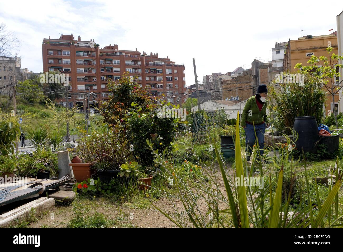 Obstgarten, urbaner Gemüsegarten des Viertels Vallcarca, Barcelona, Spanien. Stockfoto