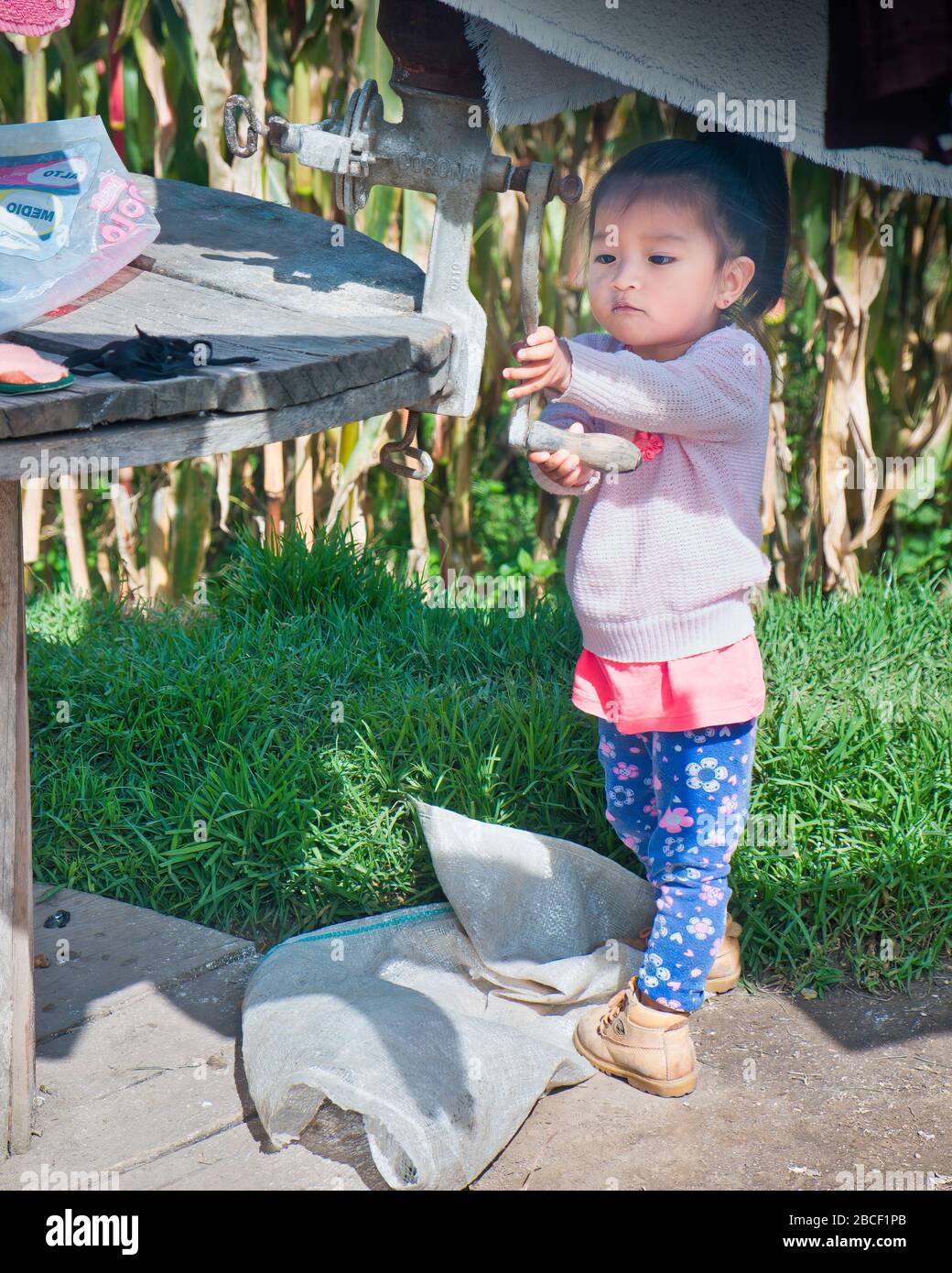 Coronavirus Aktivitäten 6of6: 19-monatiges Kleinkind versucht, Mais in Handschleifer zu mahlen, das an der Kabelrolle in der San Pedro Gemeinde Cotacachi Ecuador befestigt ist Stockfoto