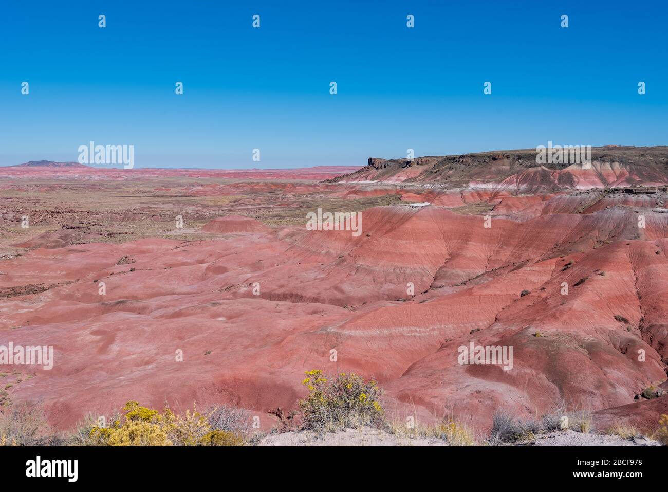 Blick aus einem hohen Winkel auf die rosa Hügel im Petrified Forest National Park Stockfoto