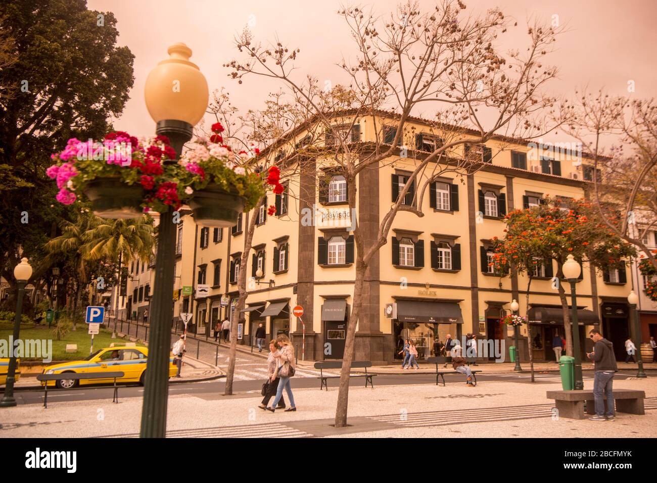 Die avenida Arriaga im Stadtzentrum von Funchal auf der Insel Madeira in Portugal. Portugal, Madeira, April 2018 Stockfoto