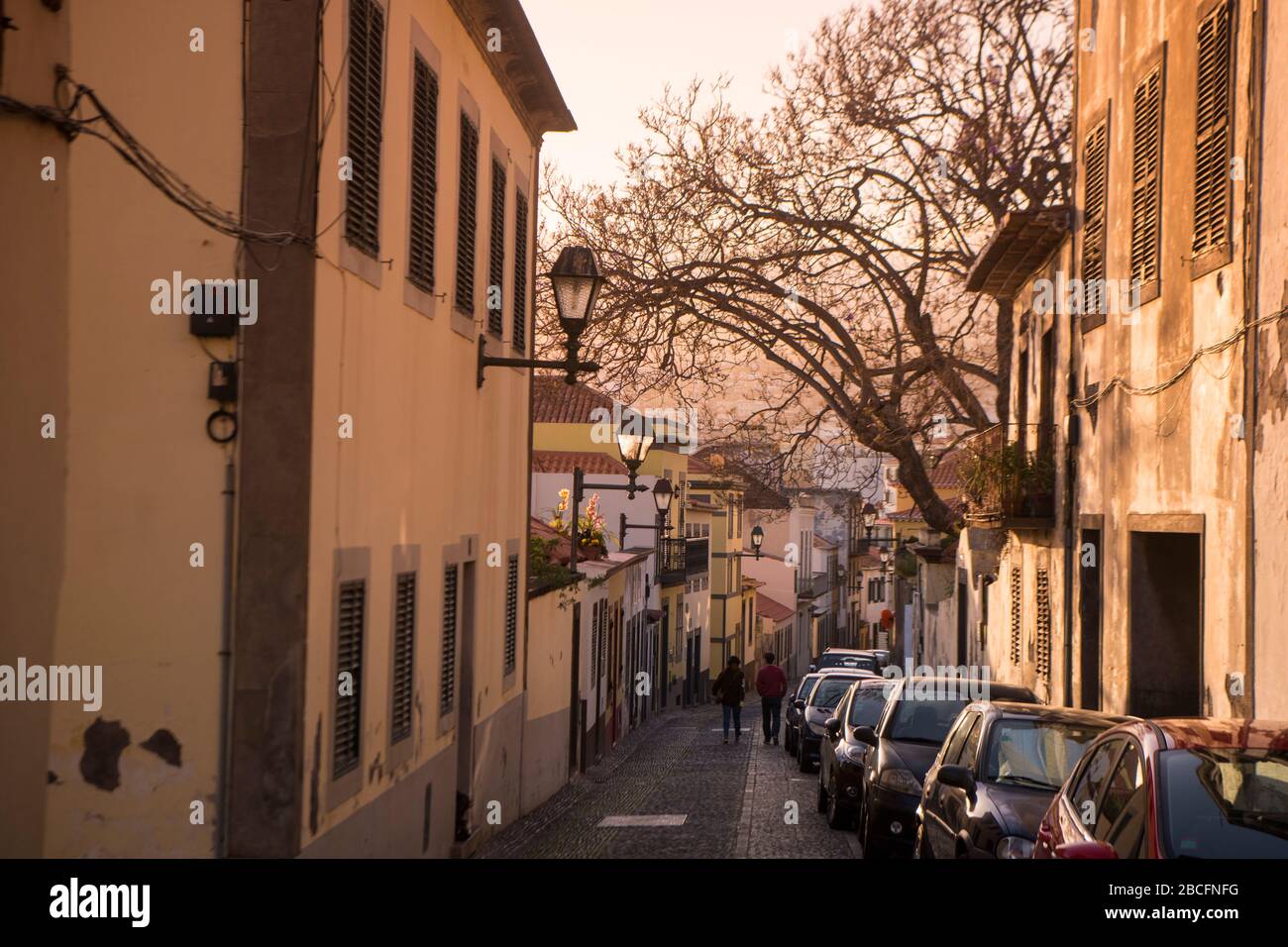 Die Altstadt von Zona Velha in der Altstadt von Funchal nachts auf der Insel Madeira in Portugal. Portugal, Madeira, April 2018 Stockfoto