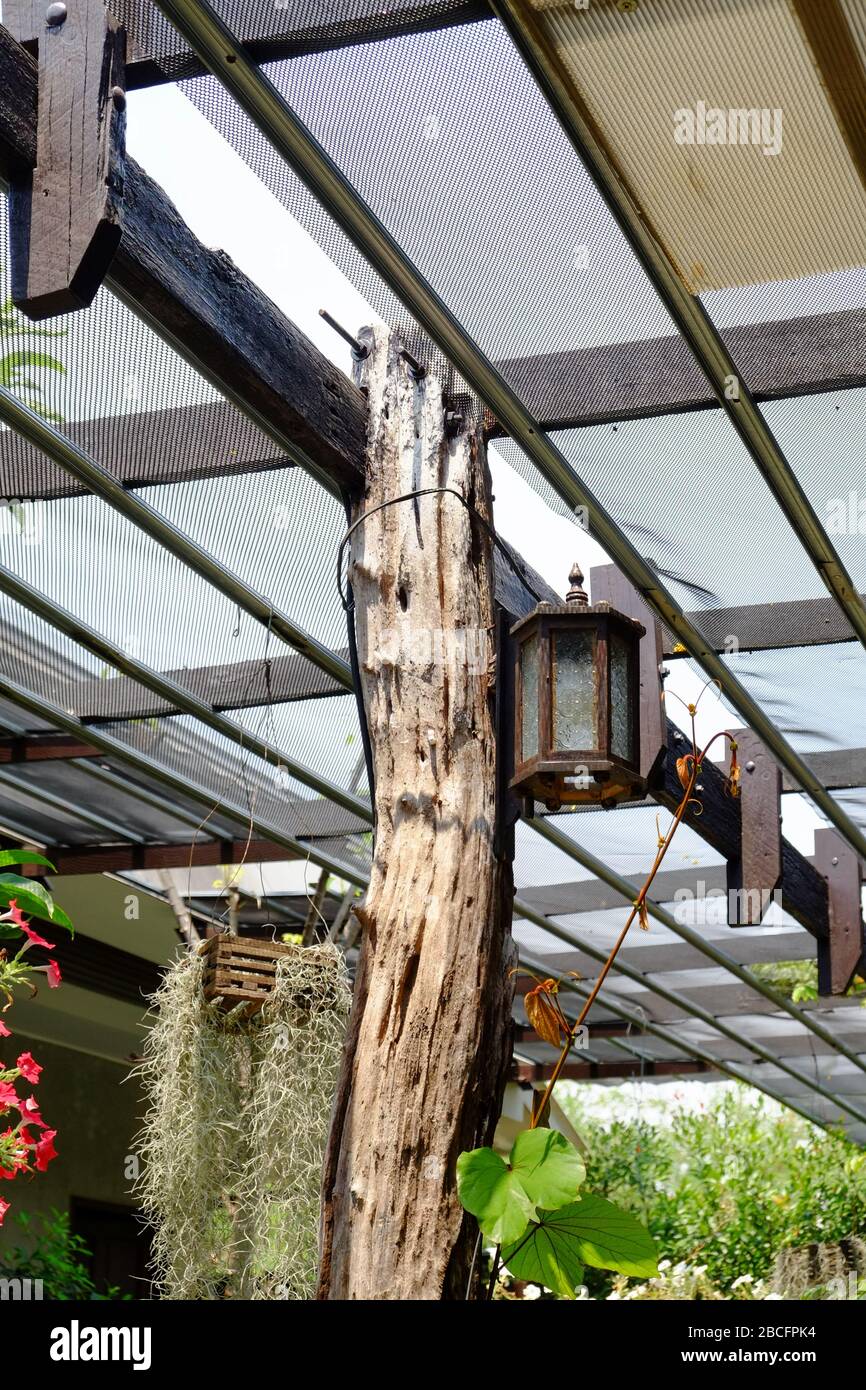 Holzsäule mit Stahldeckenstruktur Resort Design Stockfoto