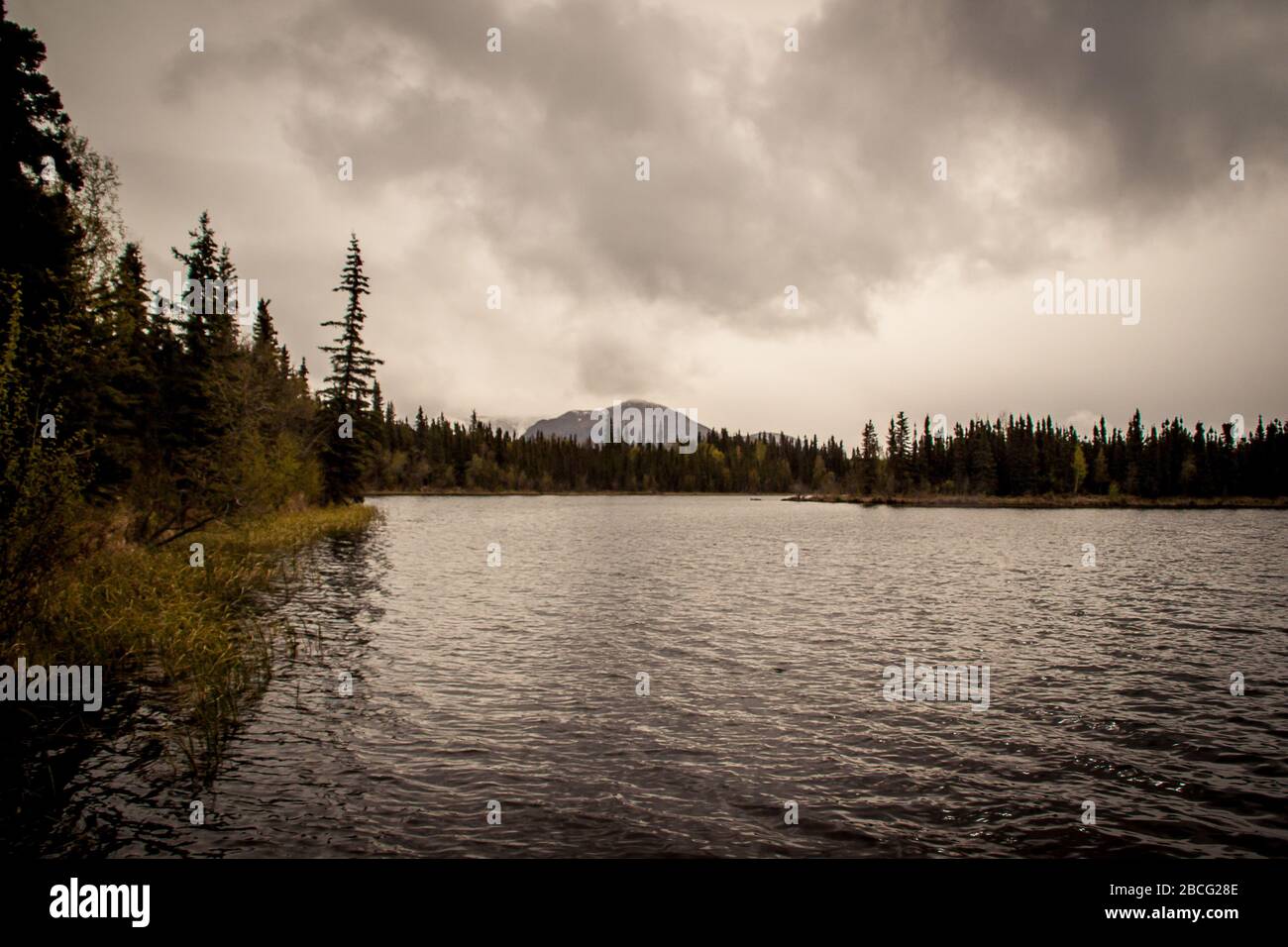 Kenai Halbinsel, Alaska, Usa Stockfoto