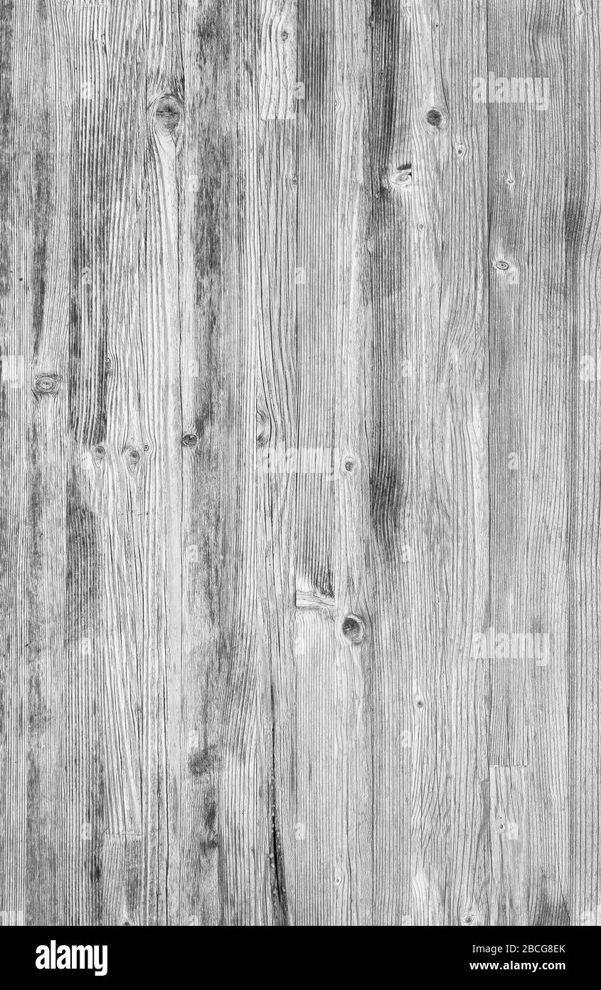 Monochromer Holzhintergrund. Weiße Holzstruktur aus nächster Nähe. Hochauflösendes Bild des leeren Raums für viele Verwendungszwecke. Stockfoto