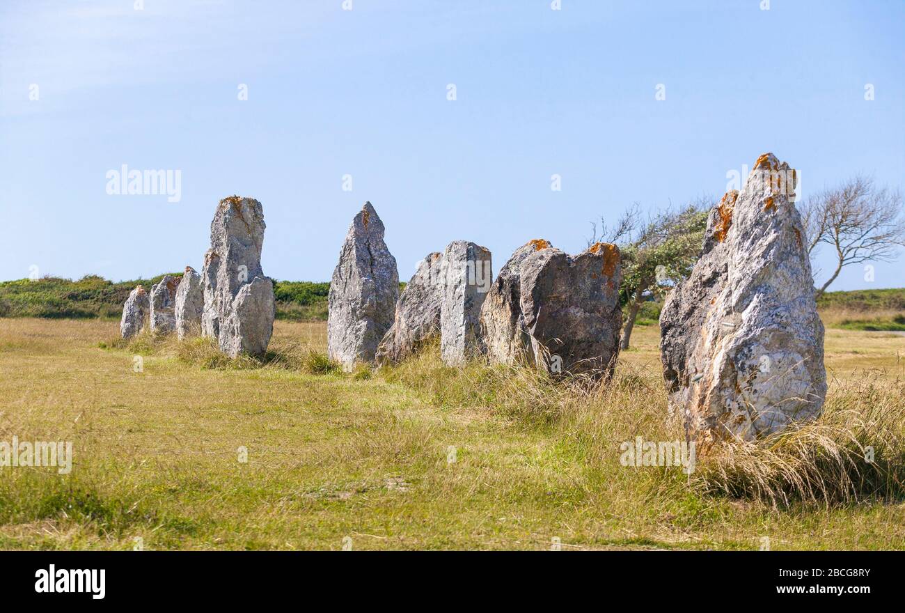 Feld der megalithischen Menhire in der Bretagne bei Camaret sur Mer, Frankreich Stockfoto