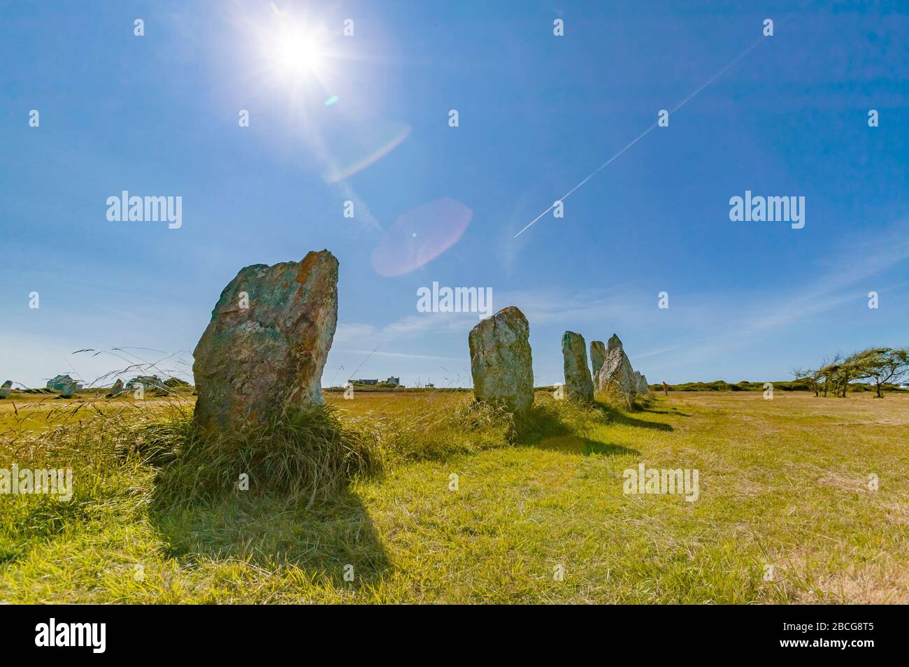 Feld der megalithischen Menhire in der Bretagne bei Camaret sur Mer, Frankreich Stockfoto