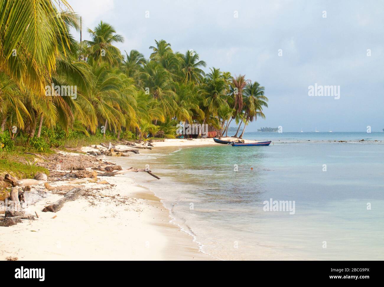 Palmeninseln der abgelegenen San Blas Inseln Archipel von Kuna Yala, Panama Stockfoto