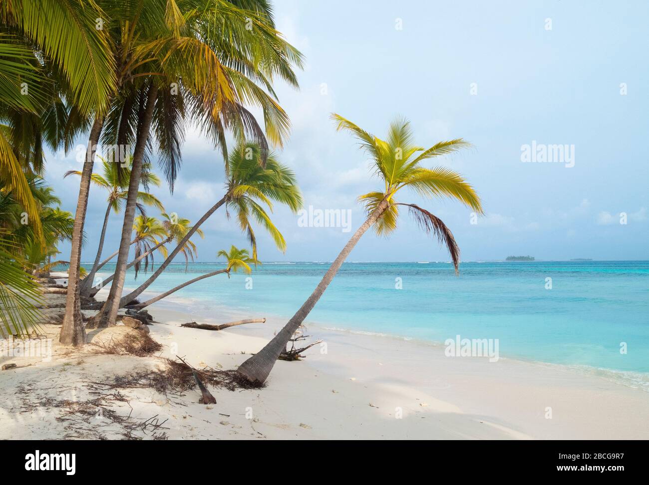 Palmeninseln der abgelegenen San Blas Inseln Archipel von Kuna Yala, Panama Stockfoto
