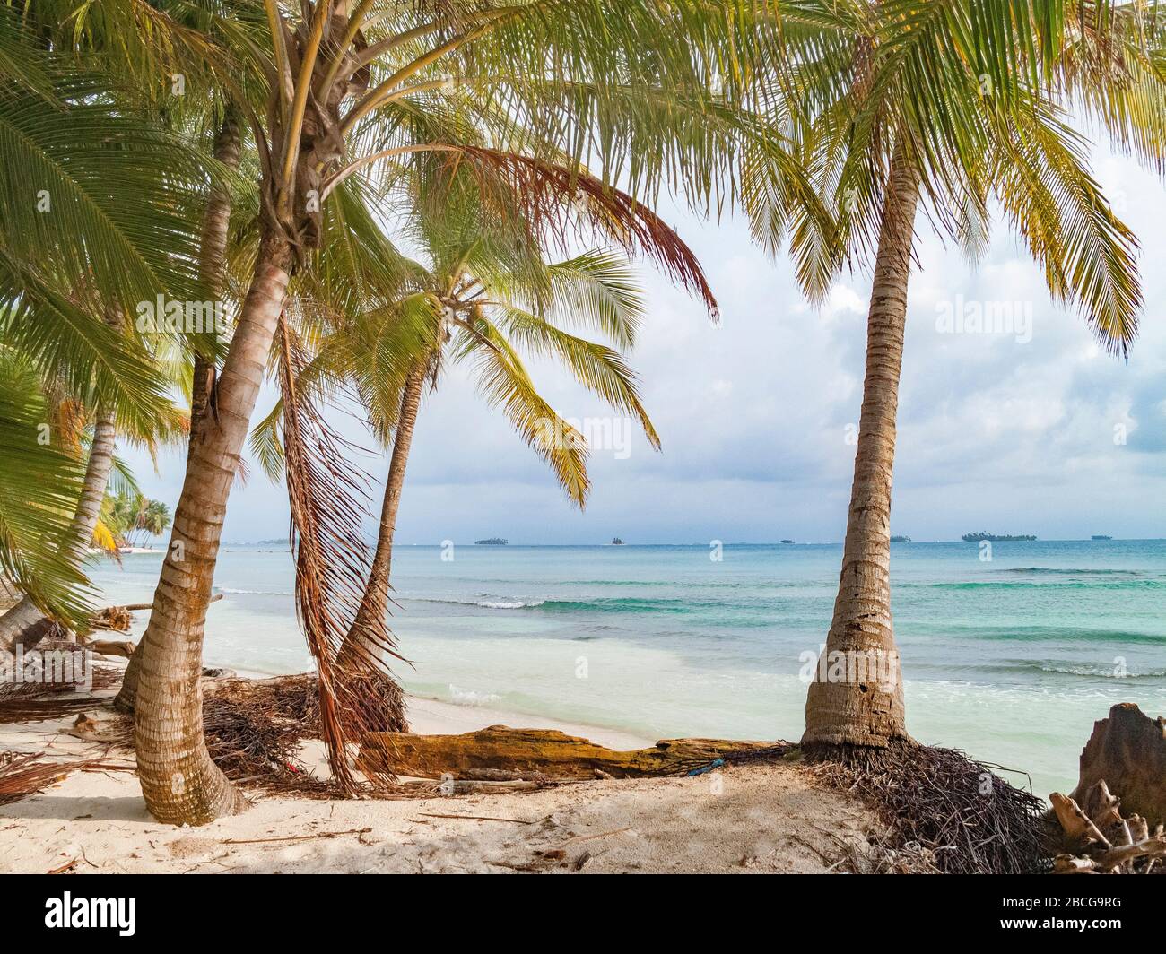Palmeninseln der abgelegenen San Blas Inseln Archipel von Kuna Yala, Panama Stockfoto