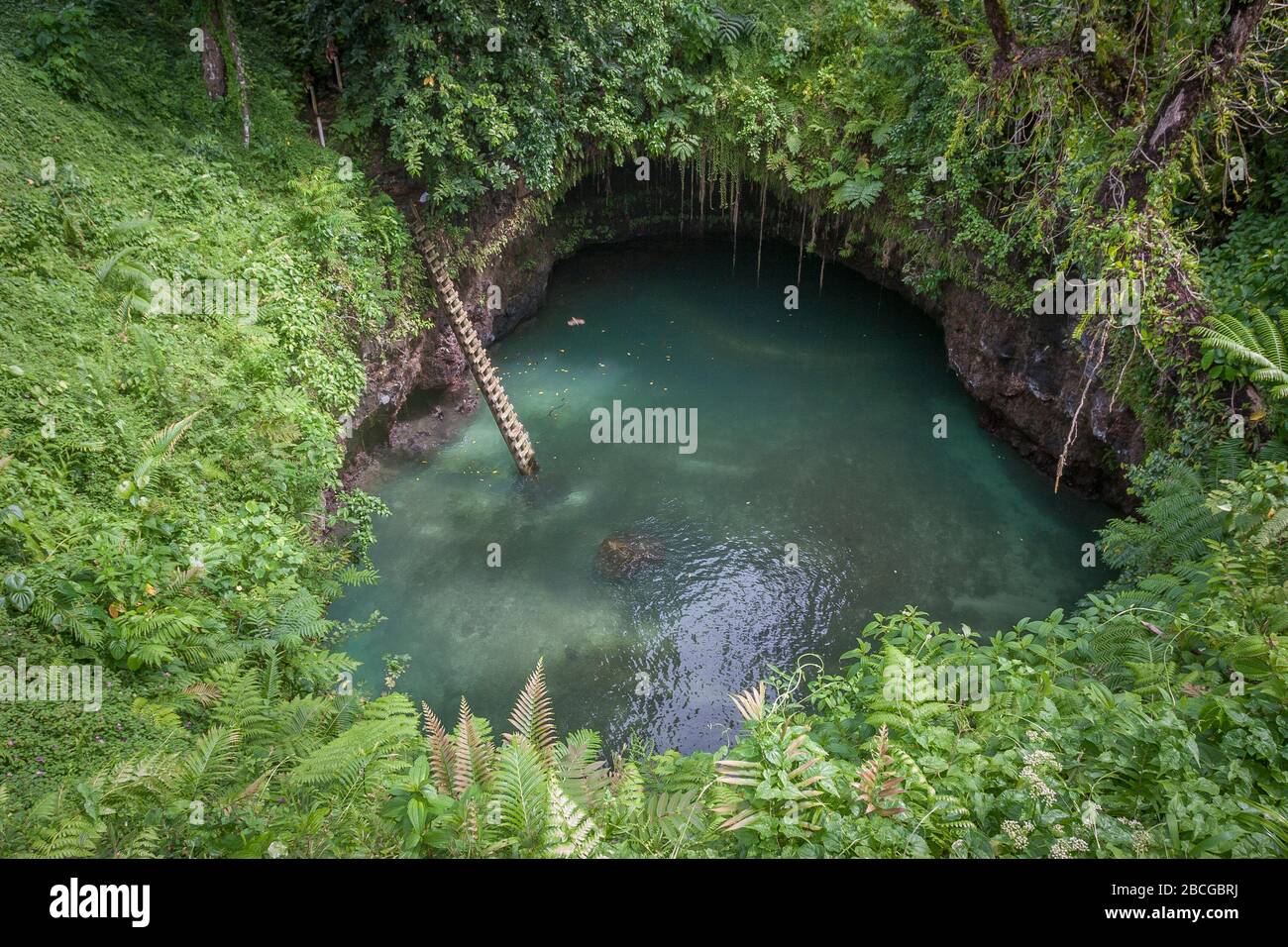 Vulkanisches Süßwasserbecken im Regenwald der Republik Von Samoa Stockfoto