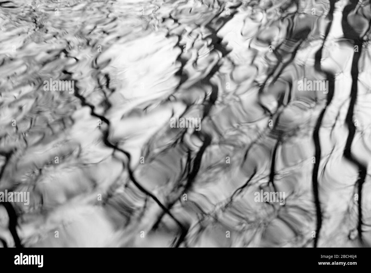 Abstrakte, verschwommene Bäume spiegeln die Reflexion auf der gerippten Wasseroberfläche in schwarz-weißen Farben wider Stockfoto