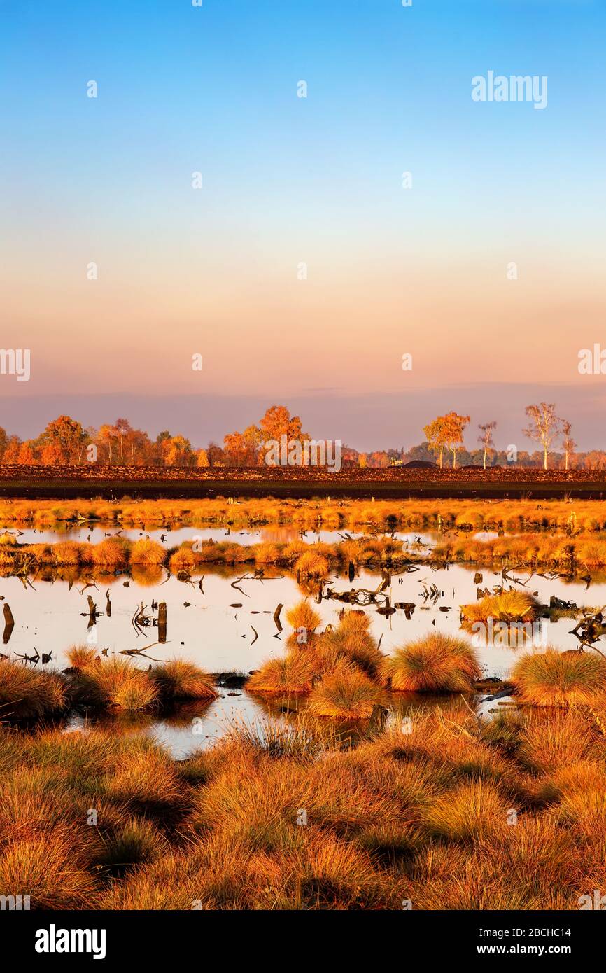 Moor sumpf Fotos und Bildmaterial in hoher Auflösung Alamy