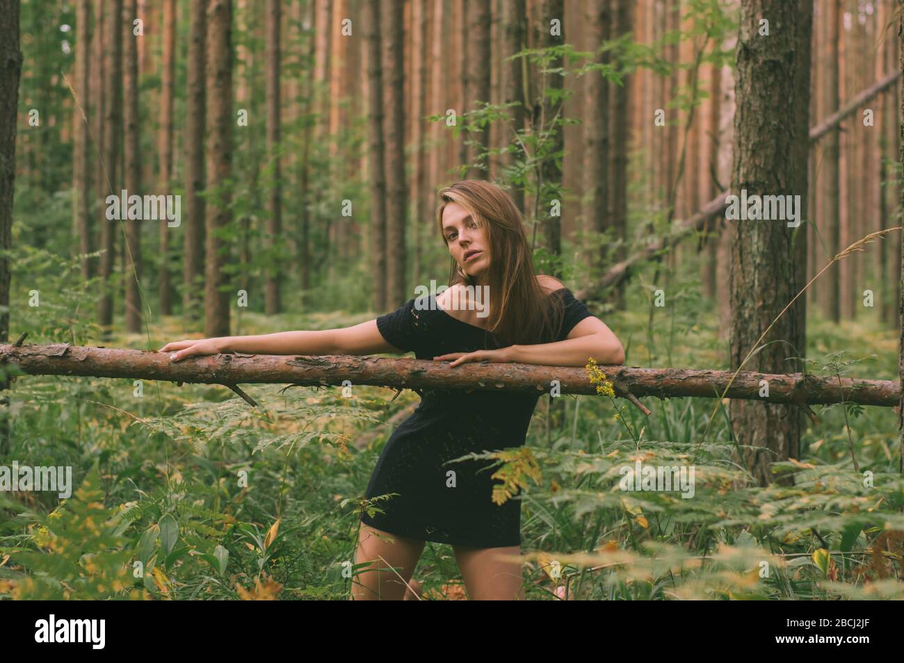 Porträt des jungen schönen Mädchens in schwarzem Kleid im Wald, das Baumstamm hält Stockfoto