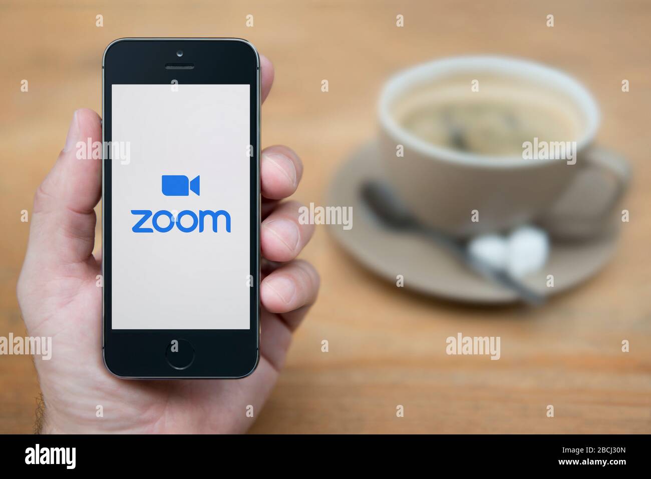 Ein Mann betrachtet sein iPhone, auf dem das Logo für Videokonferenzen Zoom angezeigt wird (nur redaktionelle Verwendung). Stockfoto